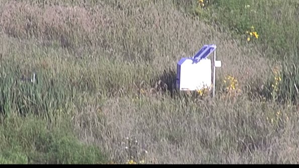 capture-4-23-08-16_08-00-36-18