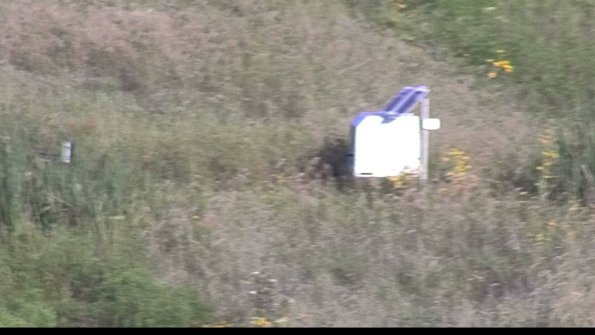 capture-4-23-08-16_08-02-35-60