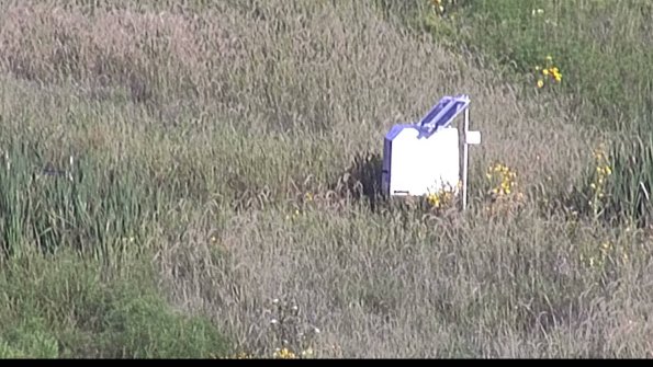 capture-4-23-08-16_08-06-36-14