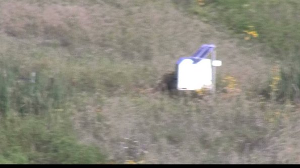 capture-4-23-08-16_08-14-35-71