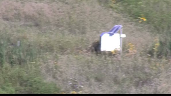 capture-4-23-08-16_08-16-35-61