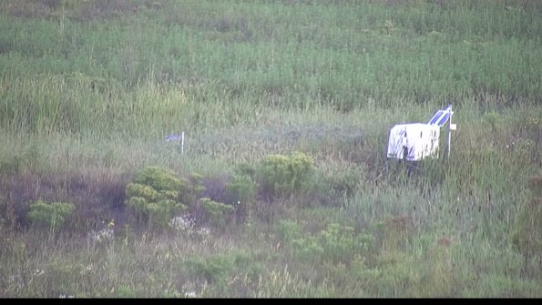 capture-5-23-08-16_07-16-49-52