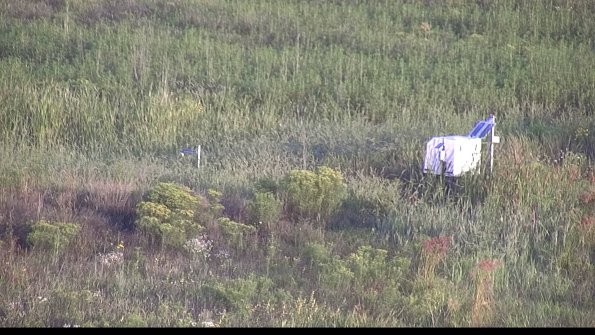 capture-5-23-08-16_07-26-50-33