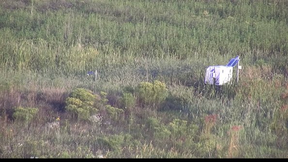 capture-5-23-08-16_07-28-50-11