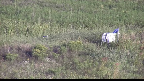 capture-5-23-08-16_07-56-50-22