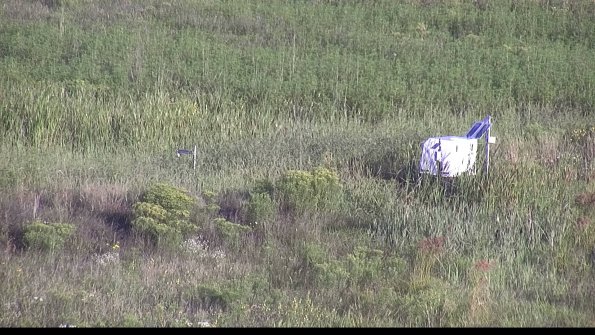 capture-5-23-08-16_08-04-49-83