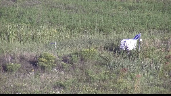 capture-5-23-08-16_08-14-50-20