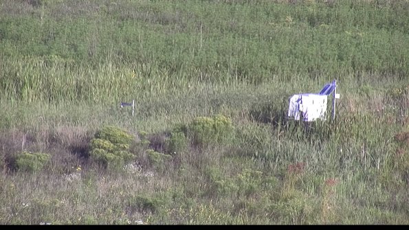 capture-5-23-08-16_08-16-49-96