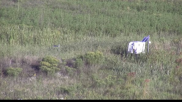 capture-5-23-08-16_08-18-49-98