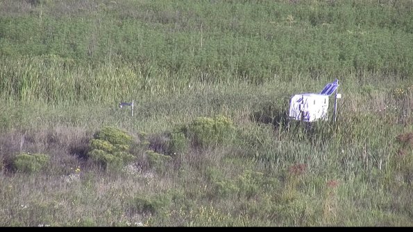 capture-5-23-08-16_08-28-50-26