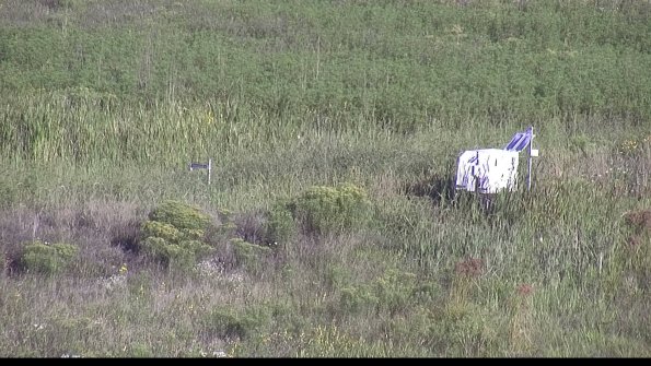 capture-5-23-08-16_08-44-50-01