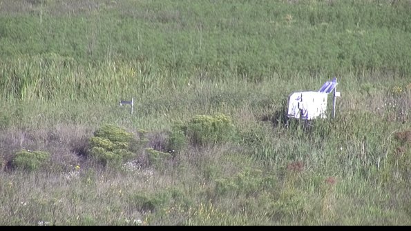 capture-5-23-08-16_08-58-49-39