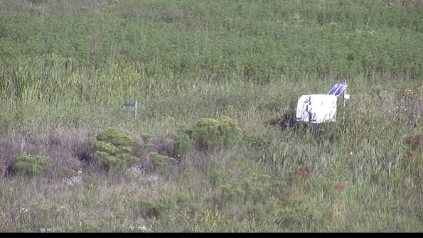 capture-5-23-08-16_09-02-50-07