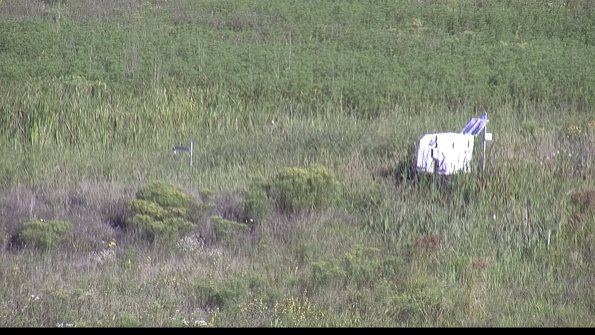 capture-5-23-08-16_09-04-49-65