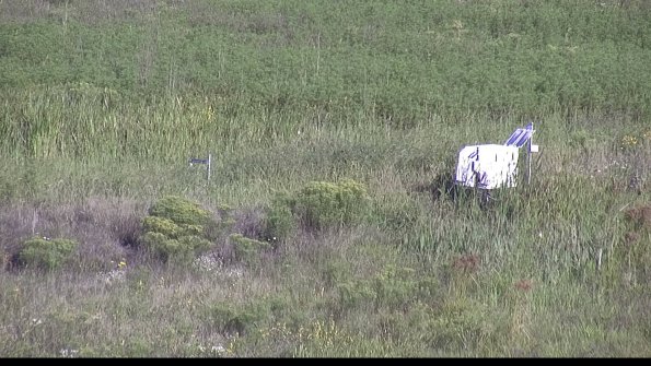 capture-5-23-08-16_09-08-49-61