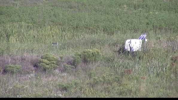 capture-5-23-08-16_09-14-50-24