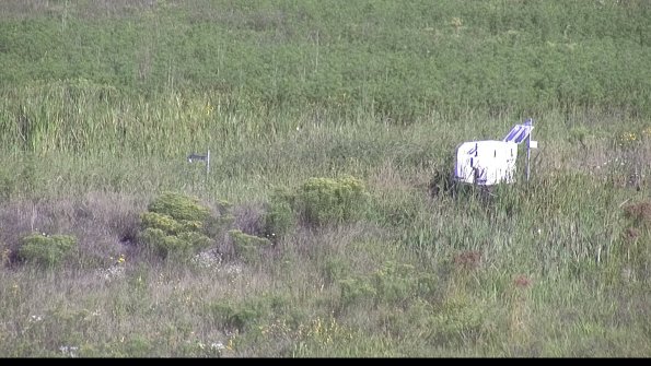 capture-5-23-08-16_09-18-49-46