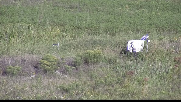 capture-5-23-08-16_09-22-49-50