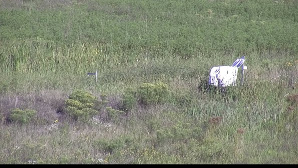 capture-5-23-08-16_09-24-49-39