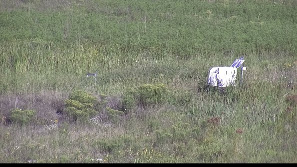 capture-5-23-08-16_09-34-50-12