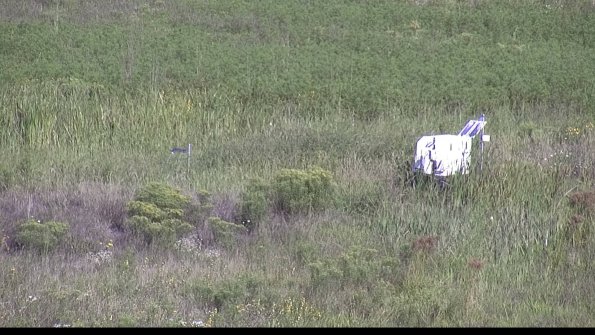 capture-5-23-08-16_09-52-49-77