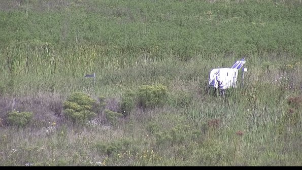 capture-5-23-08-16_10-10-49-85