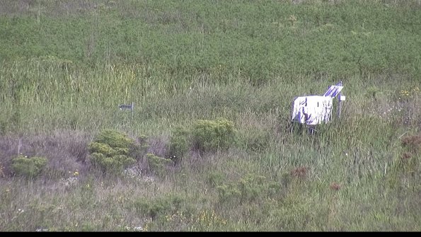 capture-5-23-08-16_10-16-50-22