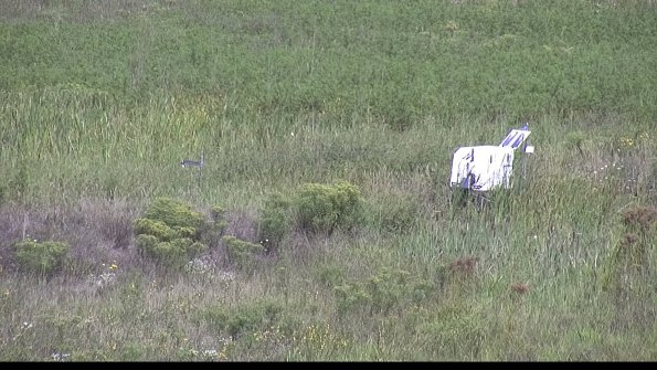 capture-5-23-08-16_10-58-49-43