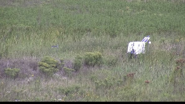 capture-5-23-08-16_11-02-50-31