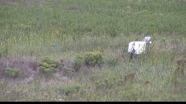 capture-5-23-08-16_11-06-50-28