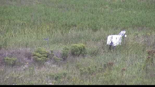 capture-5-23-08-16_11-12-49-75