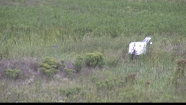 capture-5-23-08-16_11-20-49-64