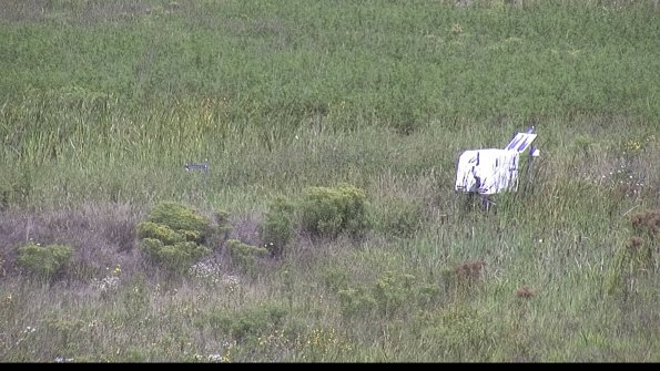 capture-5-23-08-16_11-32-49-83