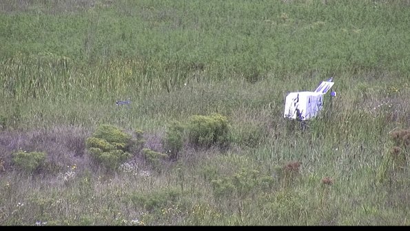 capture-5-23-08-16_12-08-50-57