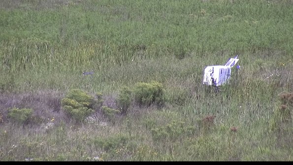 capture-5-23-08-16_12-16-50-81