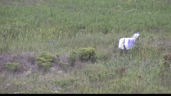 capture-5-23-08-16_12-24-50-17