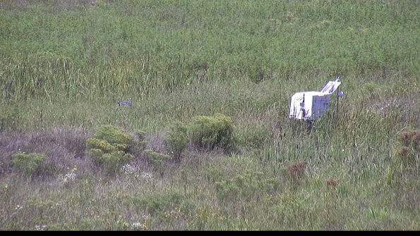 capture-5-23-08-16_12-58-49-92