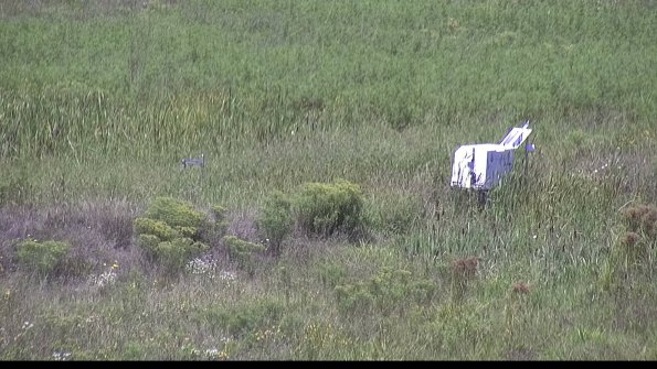 capture-5-23-08-16_13-00-49-65