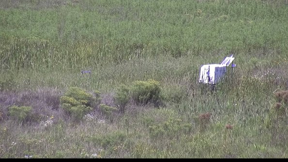 capture-5-23-08-16_13-12-51-05