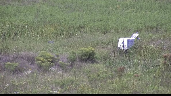 capture-5-23-08-16_13-20-49-93