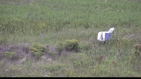 capture-5-23-08-16_13-22-50-35