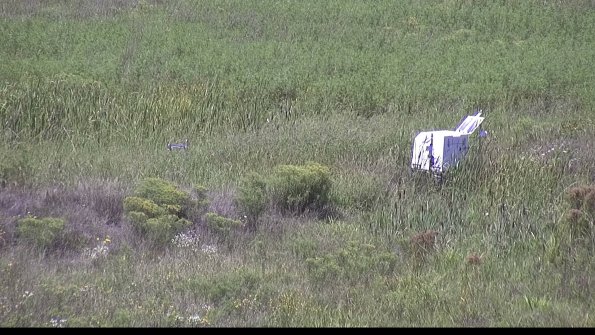 capture-5-23-08-16_13-30-50-53