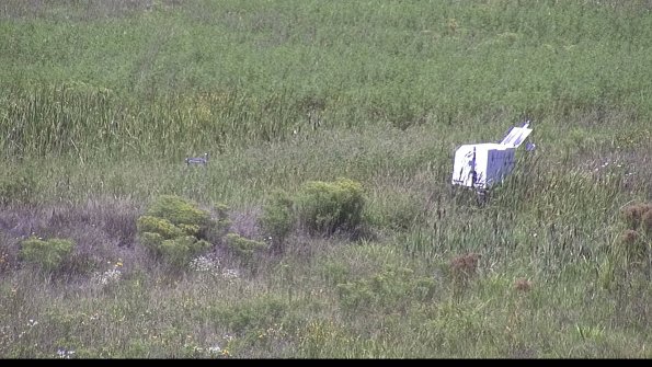 capture-5-23-08-16_13-32-50-65