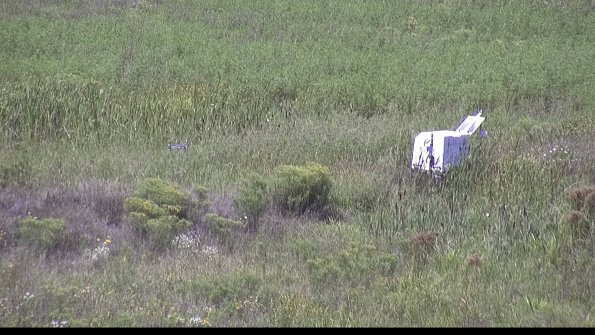 capture-5-23-08-16_13-36-50-64