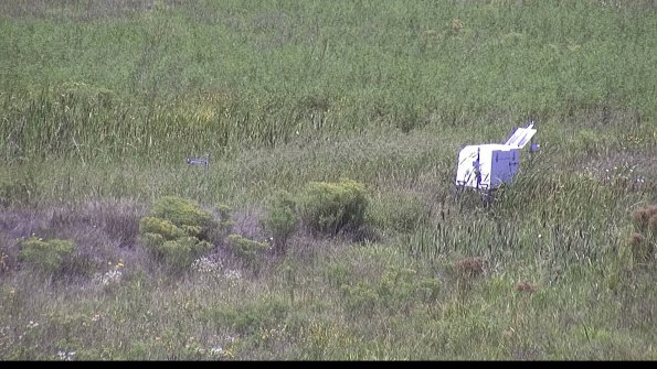 capture-5-23-08-16_13-38-51-36