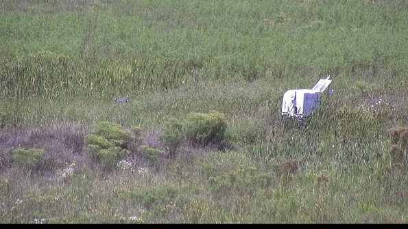 capture-5-23-08-16_13-42-50-63