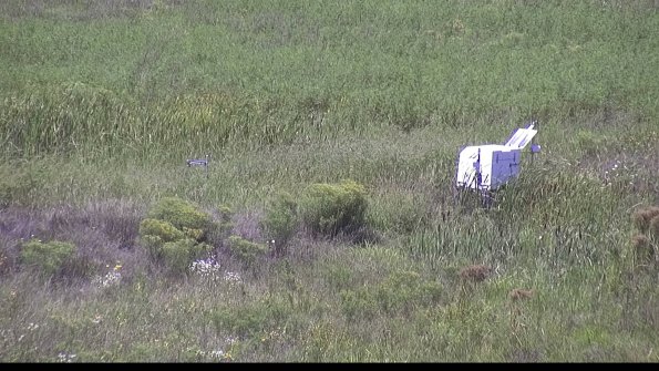 capture-5-23-08-16_13-44-50-82