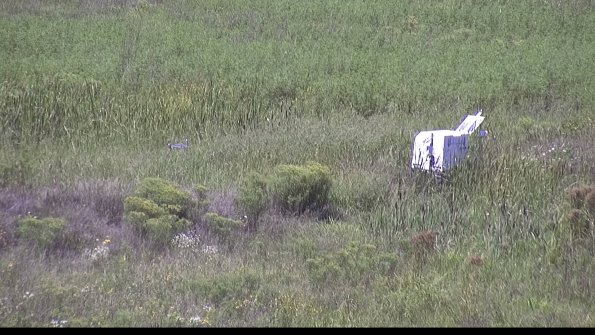 capture-5-23-08-16_13-46-51-07