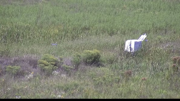 capture-5-23-08-16_13-48-49-89