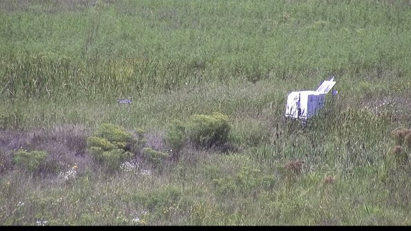 capture-5-23-08-16_13-52-50-43